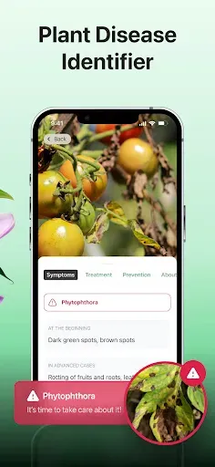 Скриншот 2 — Plant disease identifier