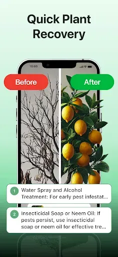 Скриншот 4 — Plant disease identifier