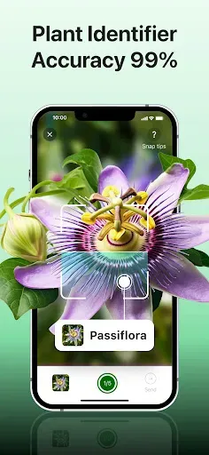 Скриншот 7 — Plant disease identifier
