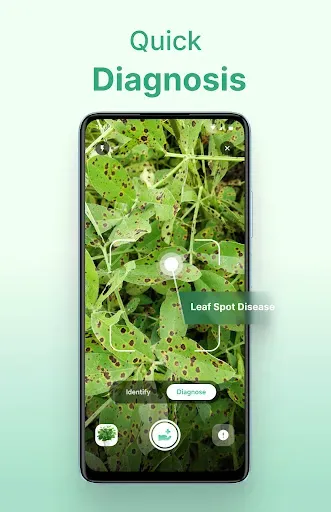 Скриншот 3 — Plant Identifier - AI Diagnose