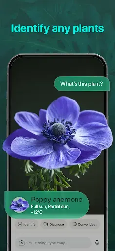 Скриншот 3 — PlantAI: Identifier & Diagnose