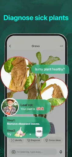 Скриншот 4 — PlantAI: Identifier & Diagnose