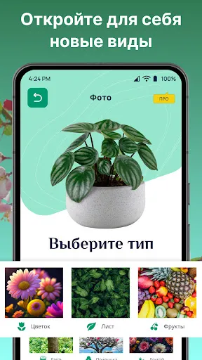 Скриншот 3 — ИИ распознавания растений