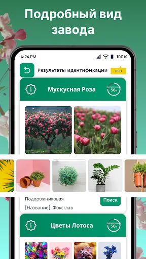 Скриншот 4 — ИИ распознавания растений