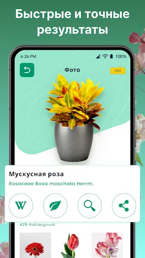 Скриншот 5 — ИИ распознавания растений