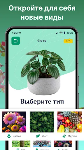 Скриншот 8 — ИИ распознавания растений
