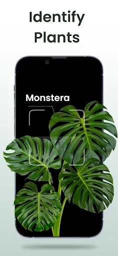 Скриншот 1 — Plant Identifier: Plantiary
