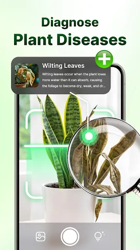 Скриншот 2 — LeafCheck: Plant Identifier