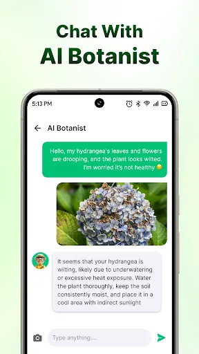 Скриншот 6 — LeafCheck: Plant Identifier
