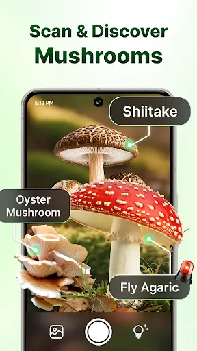 Скриншот 7 — LeafCheck: Plant Identifier