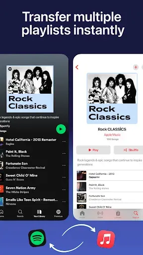Скриншот 4 — Playlist Transfer for My Music