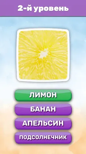 Скриншот 3 — Что это? Викторина