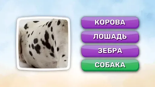 Скриншот 7 — Что это? Викторина