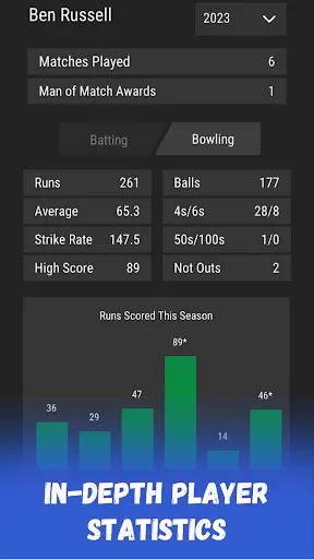 Скриншот 5 — Wicket Cricket Manager