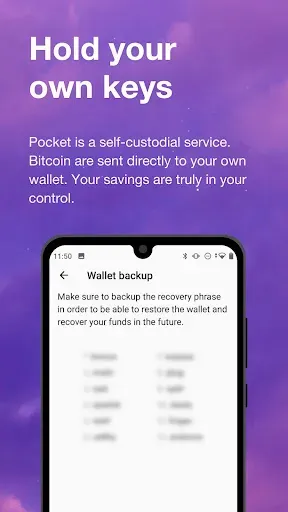 Скриншот 6 — Pocket: Buy Bitcoin instantly
