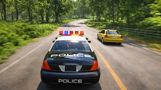 Скриншот 5 — US Police Car Escape Chase