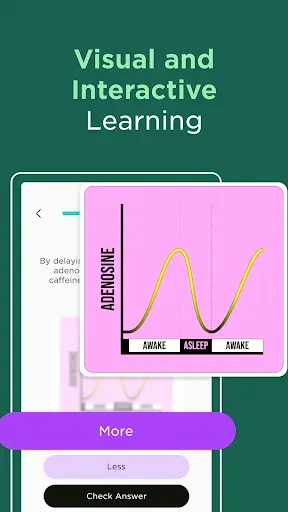 Скриншот 2 — Imprint: Learn Visually