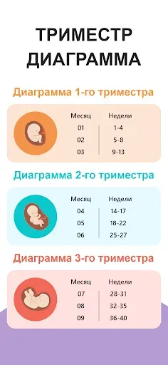 Скриншот 3 — календарь беременности