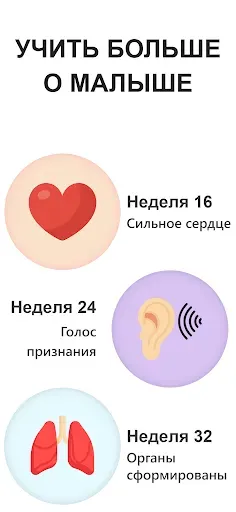 Скриншот 5 — календарь беременности