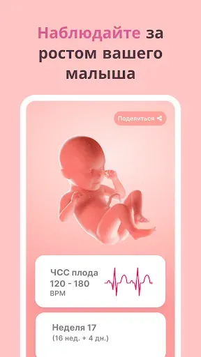 Скриншот 3 — Календарь беременности - Momly
