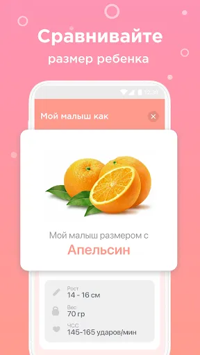 Скриншот 3 — Календарь беременности по дням