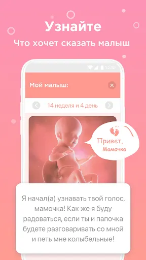 Скриншот 4 — Календарь беременности по дням