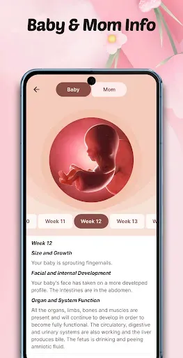 Скриншот 6 — Pregnancy Tracker: Baby Growth