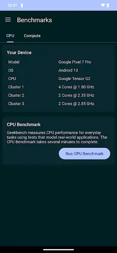 Скриншот 1 — Geekbench 6