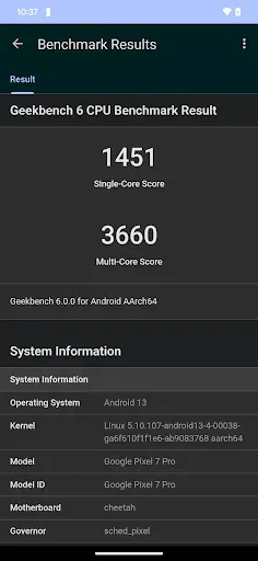 Скриншот 2 — Geekbench 6