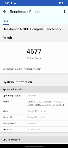 Скриншот 4 — Geekbench 6