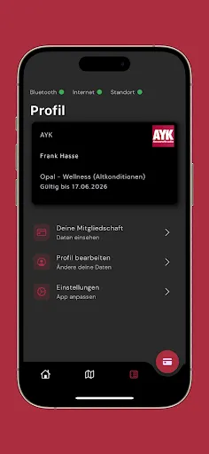Скриншот 3 — AYK SONNENSTUDIO
