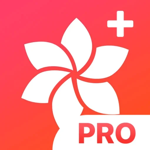 Gallery Phone 15, OS 17 Pro