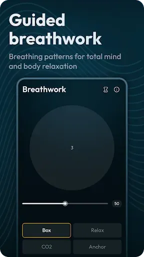 Скриншот 8 — Binaural Beats Brainwaves