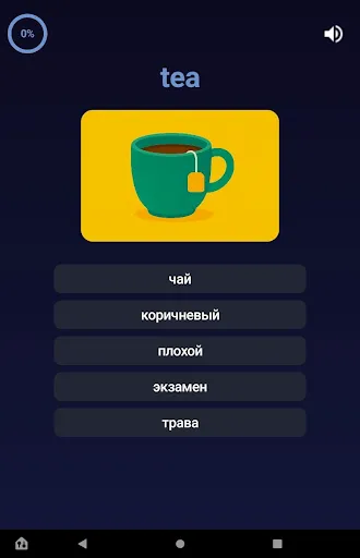 Скриншот 8 — Выучи 500 русских слов!