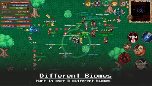 Скриншот 5 — Laurum Online - 2D MMORPG