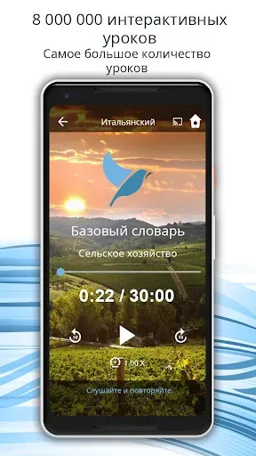 Скриншот 2 — Учите 163 языка на русском | B