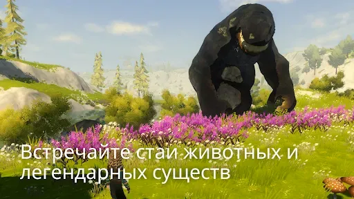 Скриншот 8 — Meadowfell