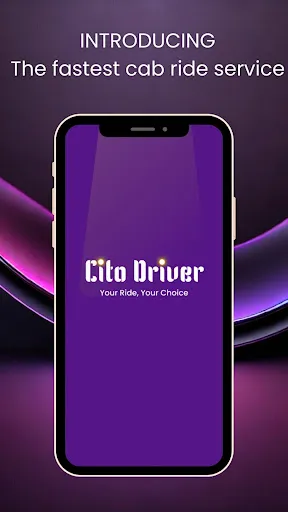 Скриншот 1 — Cito Driver