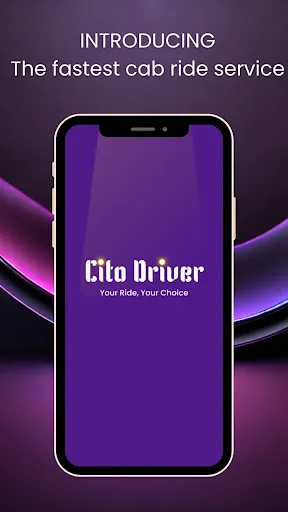 Скриншот 6 — Cito Driver