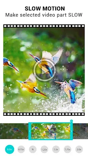 Скриншот 6 — Изменение скорости видео