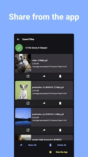 Скриншот 5 — Преобразование видео в GIF