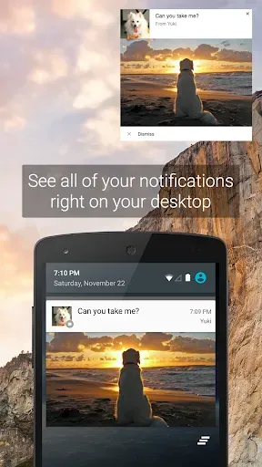 Скриншот 3 — Pushbullet: SMS on PC and more