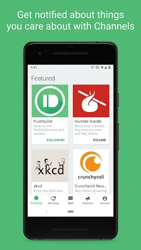 Скриншот 5 — Pushbullet: SMS on PC and more