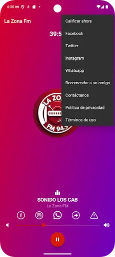 Скриншот 2 — La Zona FM
