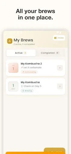 Скриншот 1 — Kombucha Brew Tracker