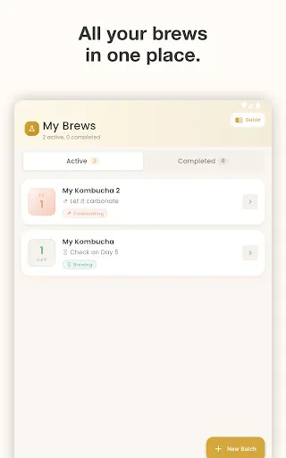 Скриншот 7 — Kombucha Brew Tracker