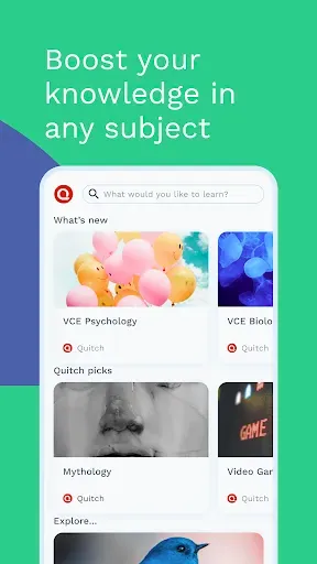 Скриншот 8 — Quitch