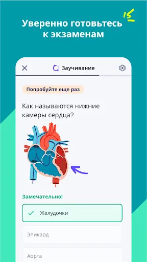 Скриншот 3 — Quizlet: карточки на основе ИИ