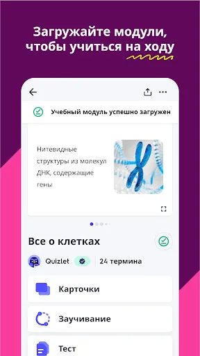 Скриншот 4 — Quizlet: карточки на основе ИИ