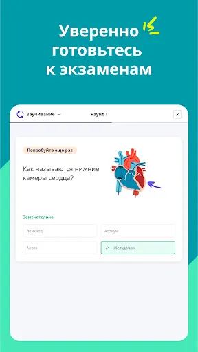 Скриншот 8 — Quizlet: карточки на основе ИИ